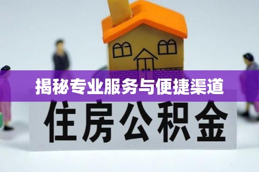 大理揭秘专业服务与便捷渠道