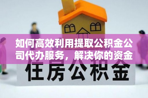 大理如何高效利用提取公积金公司代办服务，解决你的资金难题