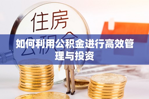 大理如何利用公积金进行高效管理与投资